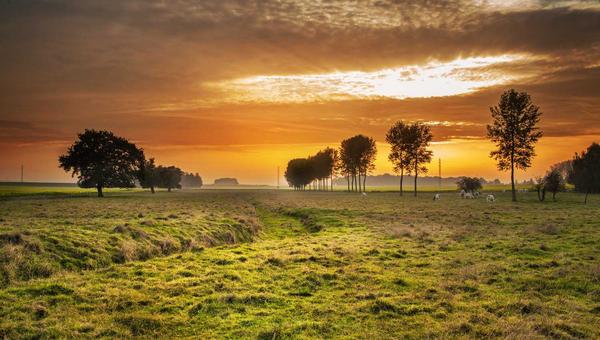 球坛周边